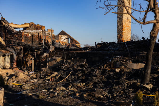 Reliable Content Restoration contractor in McKinney, TX by Meridian Smoke Damage